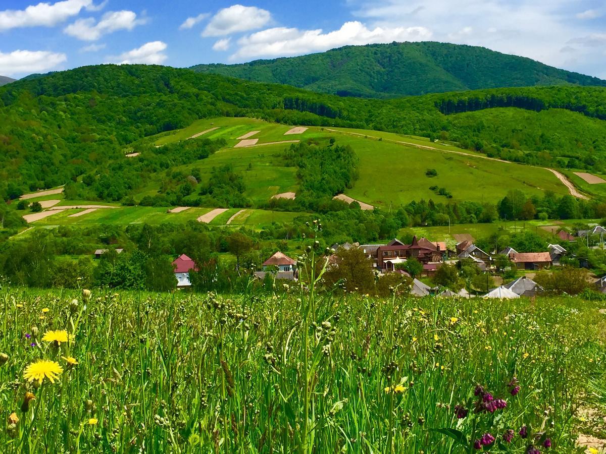 Minihotel Zolotoe Runo Ploskoye Экстерьер фото